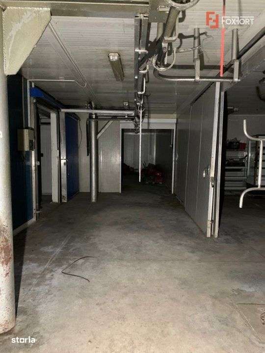 COMISION 0% Hala Industriala 500 mp cu Spatiu de Birou 200 mp in Buzia - Imagine principală: 5/14