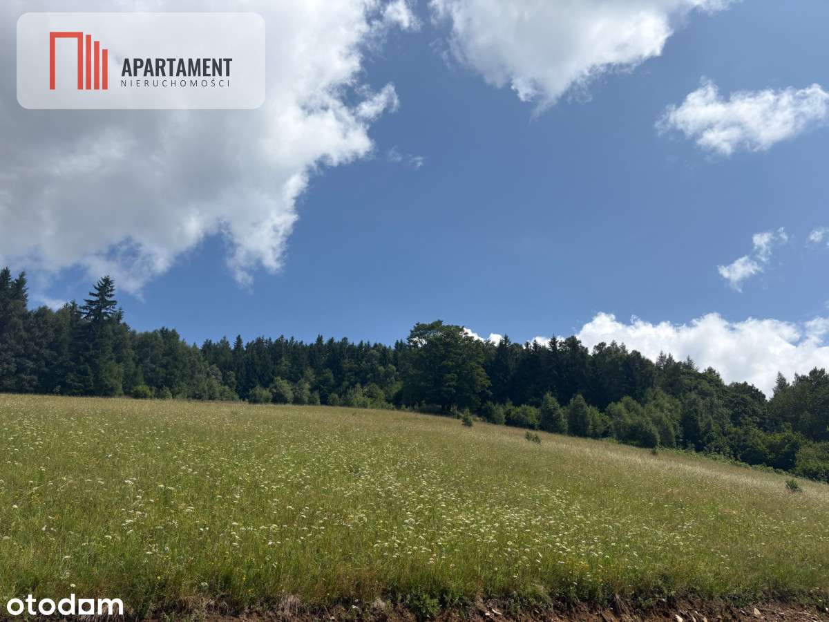 Teren niezalewowy w górach-działki 2000mkw - Pełny obrazek: 5/10