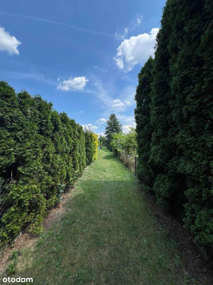Piękna działka rekreacyjna Rod 282m2. Tysiąclecie,-11
