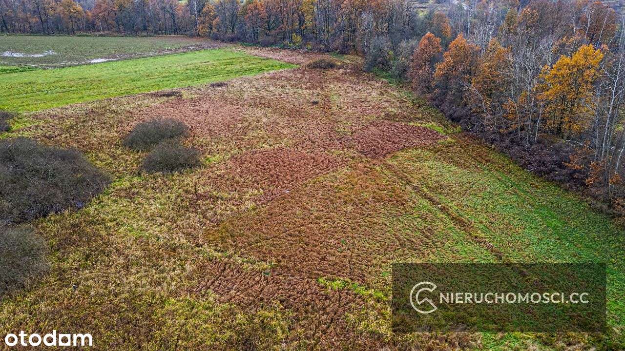 Działka rolna 57ar - Zawada - Myślenice OKAZJA! - Pełny obrazek: 5/6