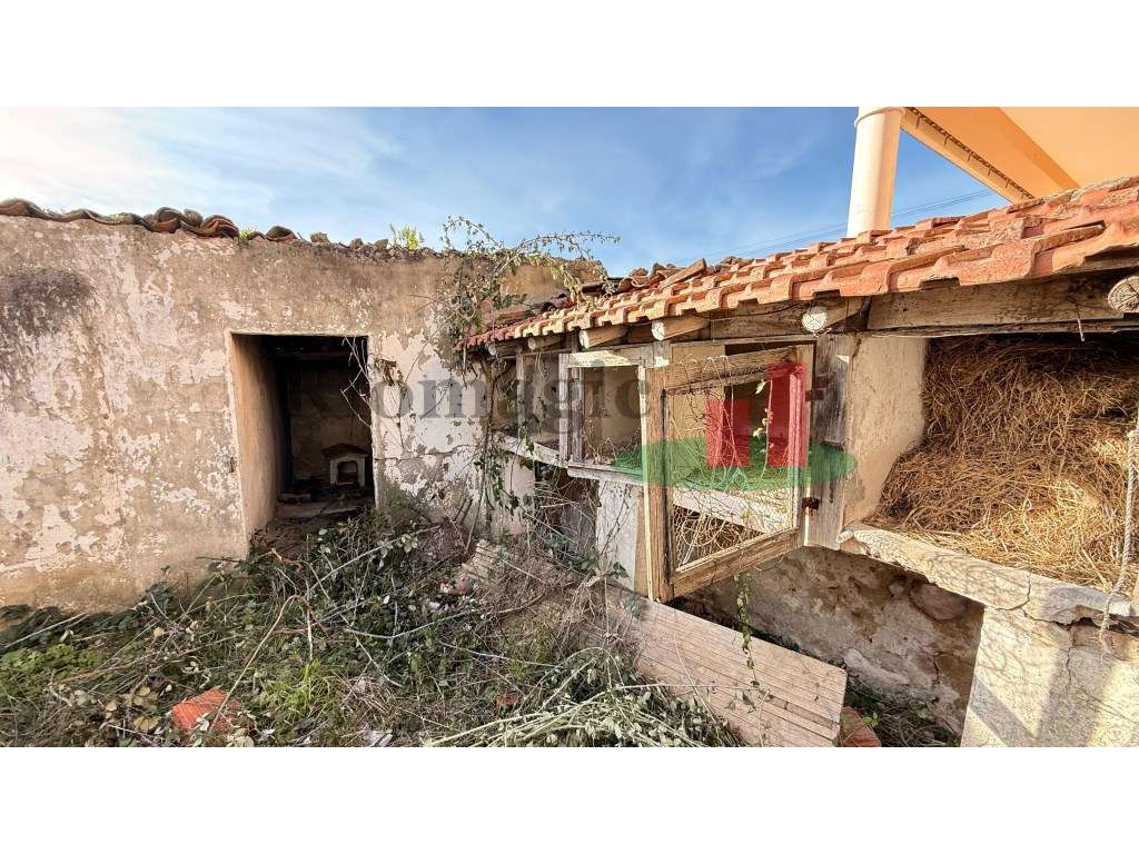 Moradia T2 Alvorinha***RIOMAGIC*** - Grande imagem: 5/6