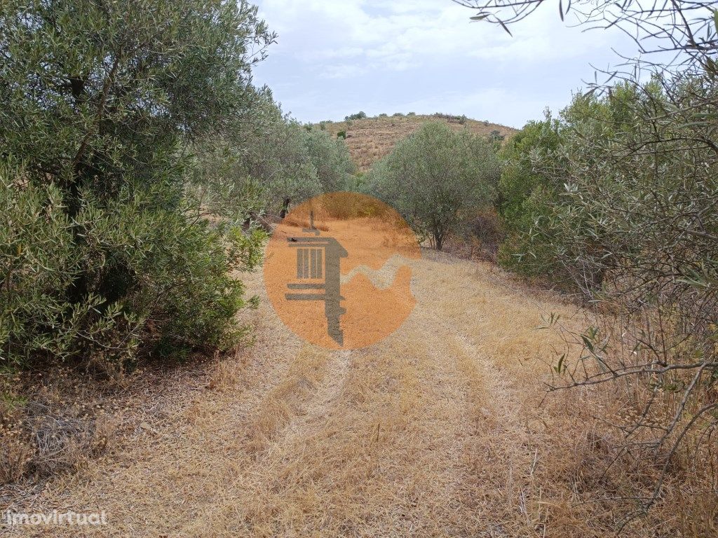 TERRENO RUSTICO COM 640 M2 - PRÓXIMO AOS BALURCOS EM ALCO...