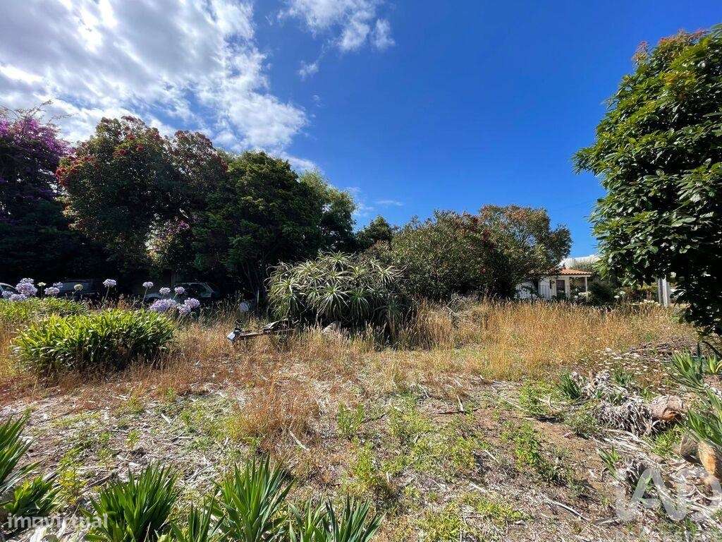 Terreno T3 em Esposende, Marinhas e Gandra de 480,00 m2 - Grande imagem: 5/18