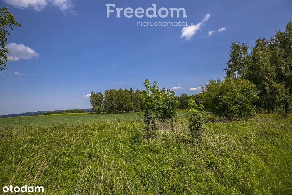 Działka z Wz siedliskowa 46 ar – Strzyżów okolice - Pełny obrazek: 5/17