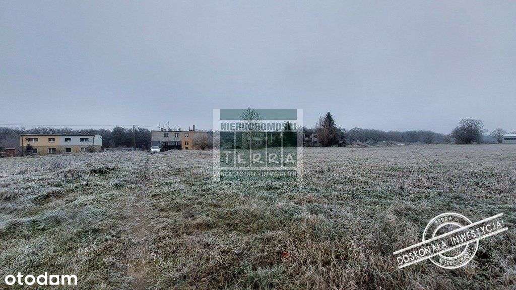 Działka, 70 579 m², Mirocin Średni - Pełny obrazek: 4/7