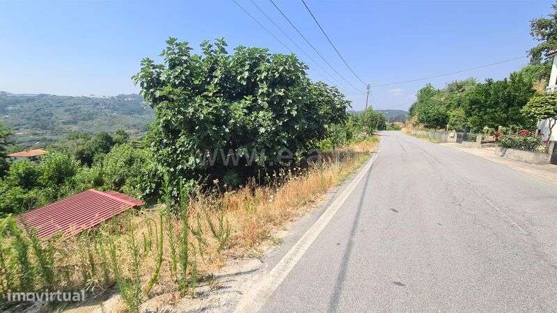 Terreno / Marco de Canaveses, Folhada - Grande imagem: 4/16