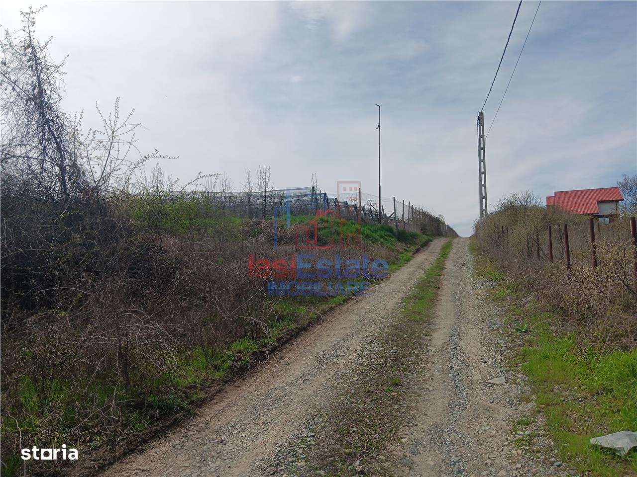 Visan str Castanul Unirii TEREN 729mp cu dubla deschidere toate utilit-7