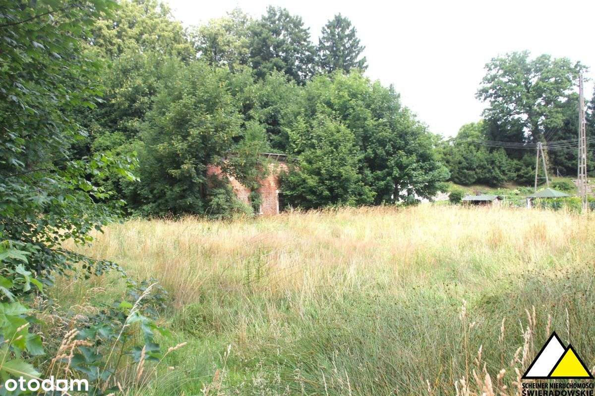 Działka blisko Świeradowa - Pełny obrazek: 4/13
