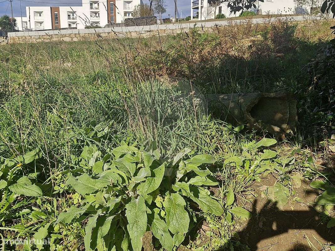 Terreno  para venda - Grande imagem: 5/6