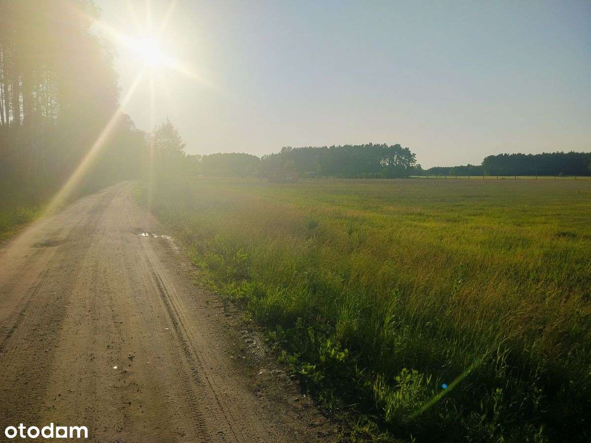 Działka Budowlana Nad Jezioremn Annowo 900mkw - Pełny obrazek: 4/4