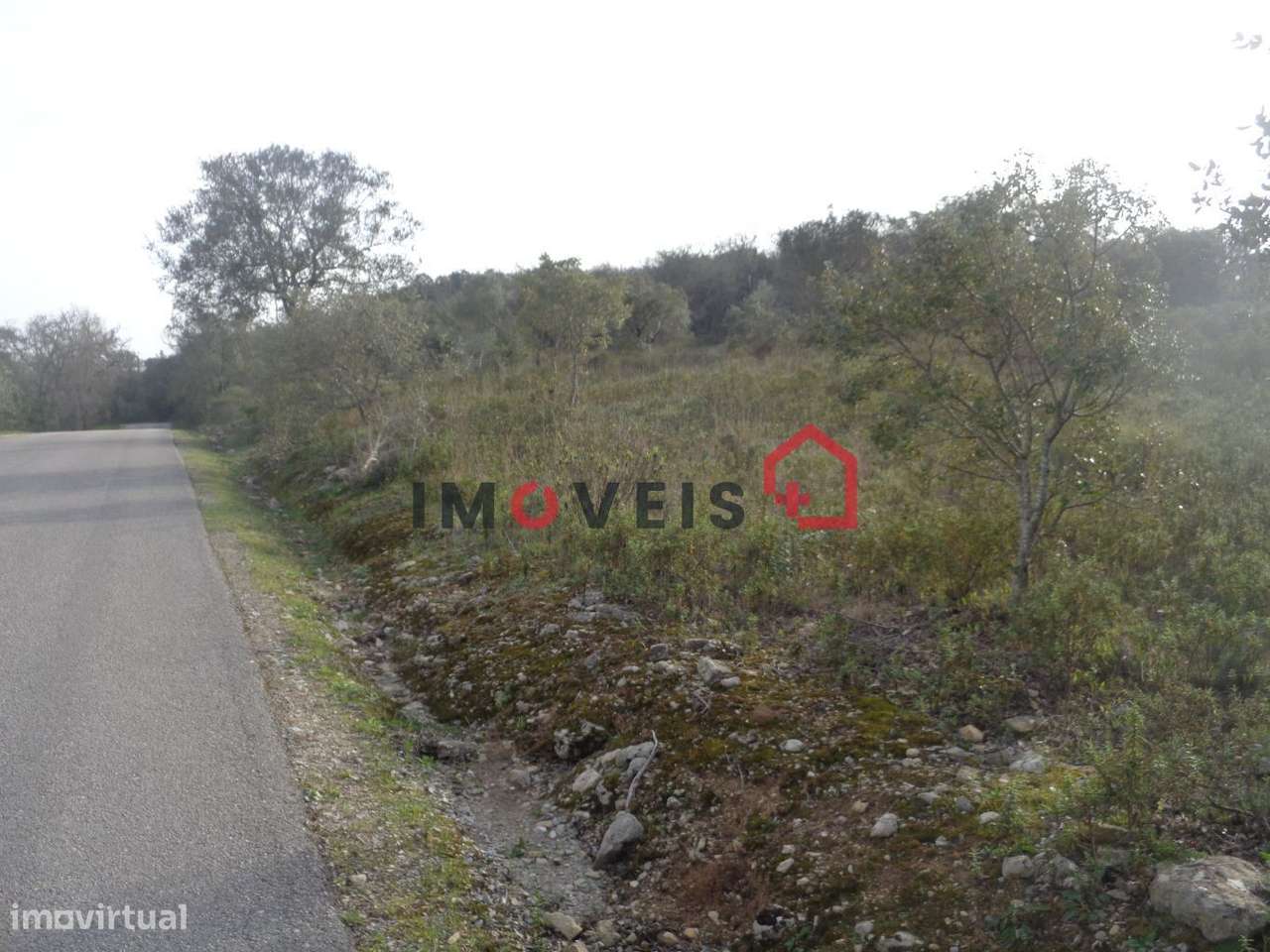 Terreno Rústico - Grande imagem: 5/6