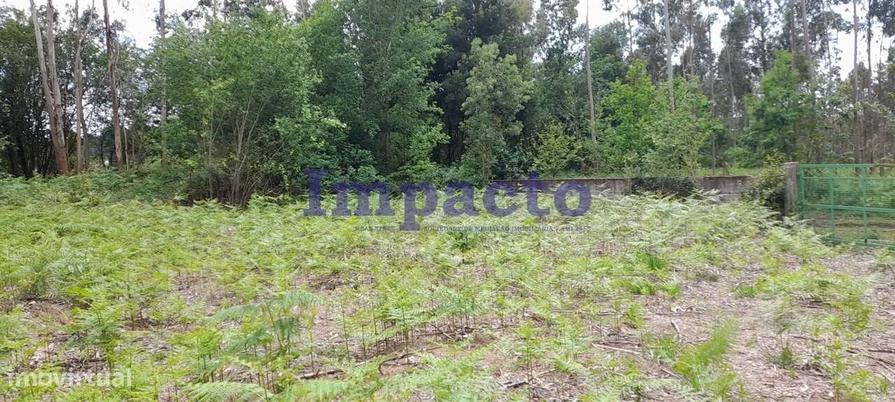 Terreno rústico em Milheirós de Poiares, Santa Maria da Feira - Grande imagem: 4/7