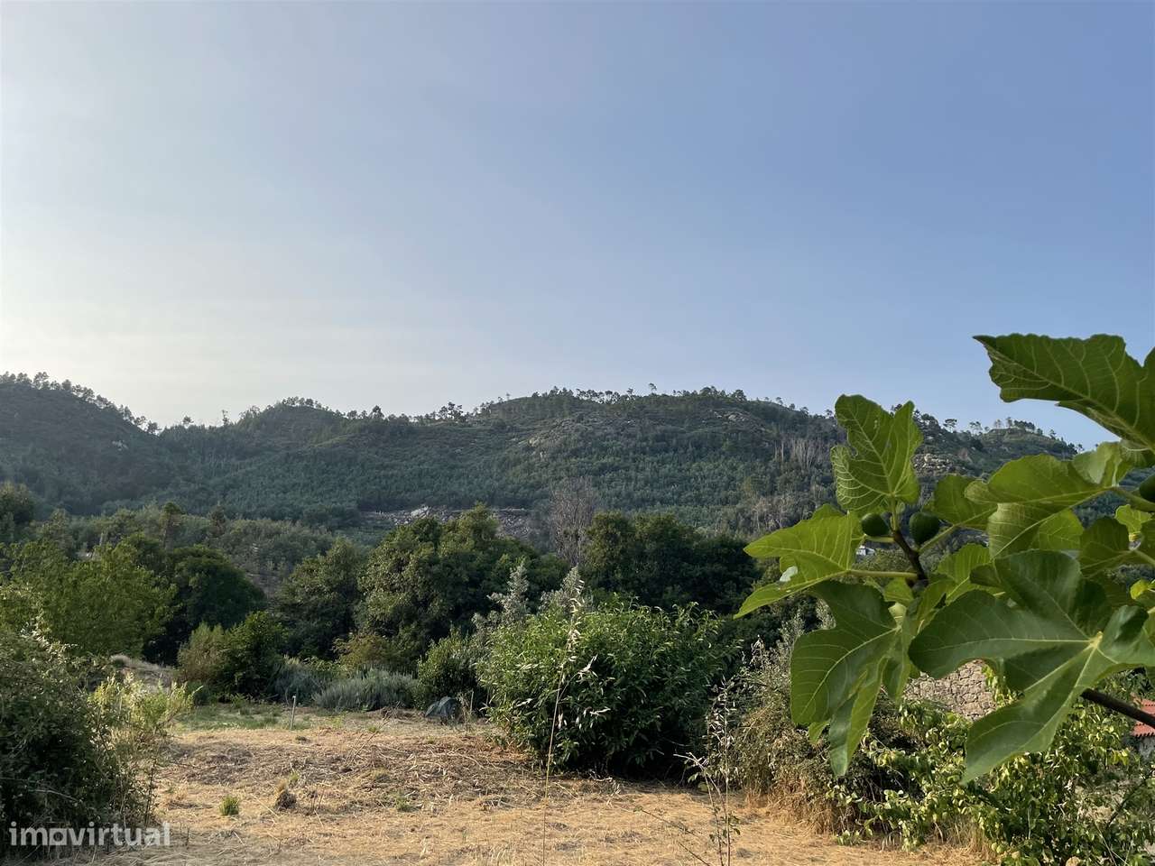 Moradia Isolada T3 Venda em Louriçal do Campo,Castelo Branco-24