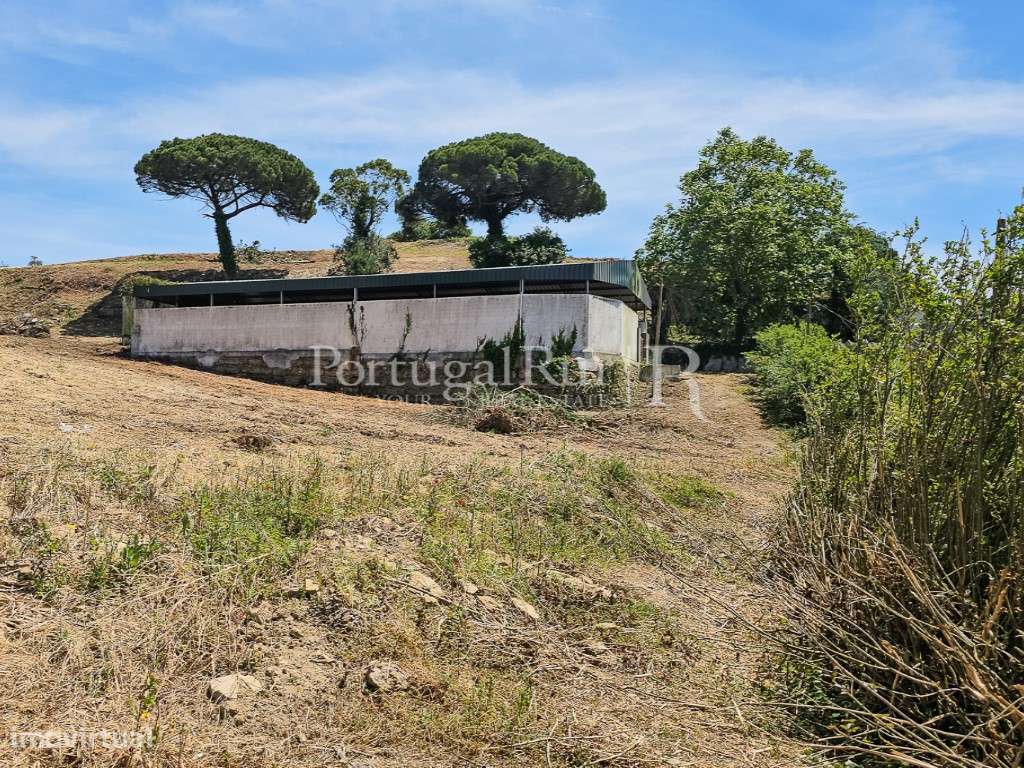Complexo Agricola com 35.640 m² e 1.907 m² de área de construção-46
