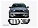 Grelhas Capo BMW E46 - 1