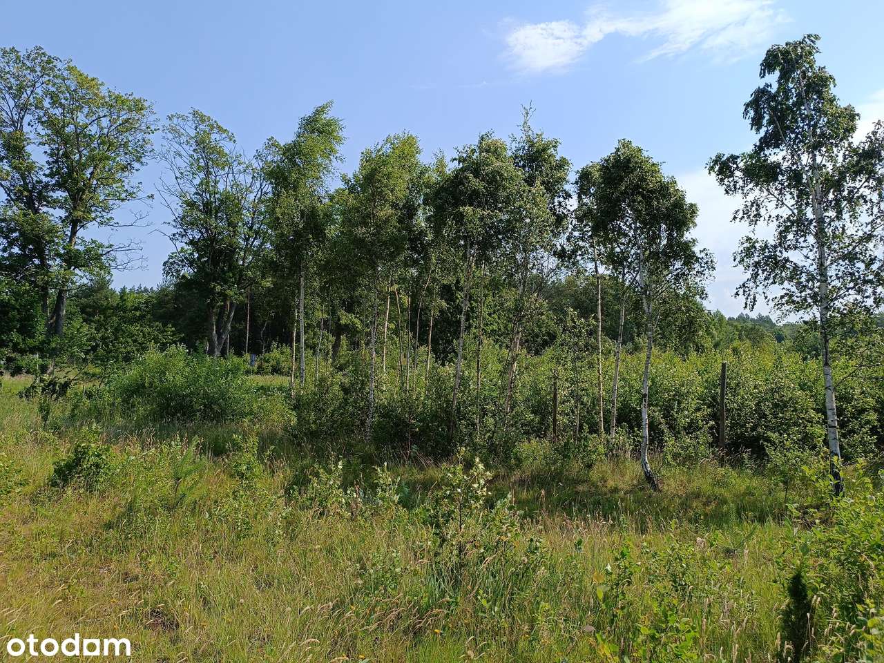 Leśniewo k. Pucka - Szkoła 500m, Sklep 750m - Pełny obrazek: 4/7