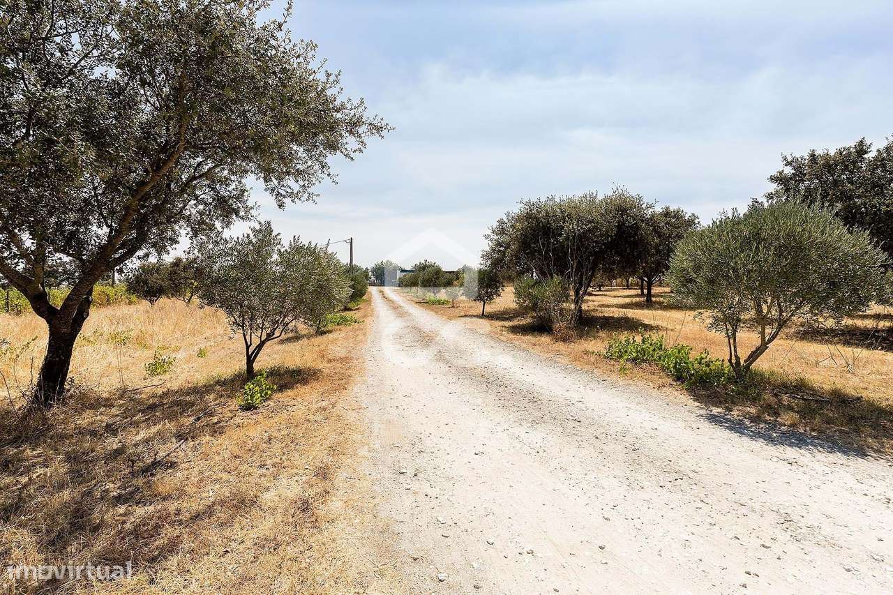 Quinta de 1,29 ha c/ Moradia T4 e Piscina | Reguengos de Monsaraz, Évo-51