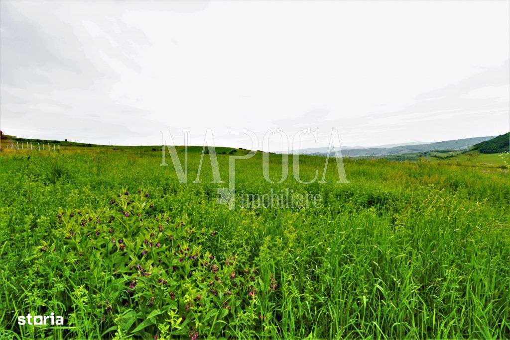 Teren extravilan pentru constructii de vanzare in Popesti - Imagine principală: 3/5