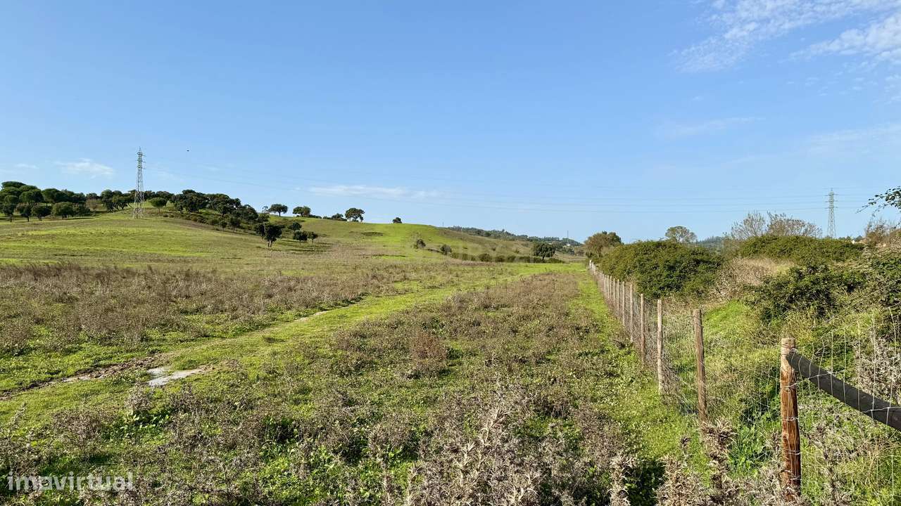 Terreno Rústico na Azambuja. Em Venda! - Grande imagem: 3/7