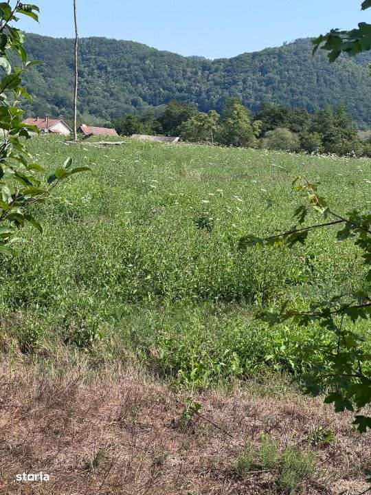 Teren 3600 mp Cheile Nerei – Peisaj de poveste! Oportunitate excelen - Imagine principală: 2/12