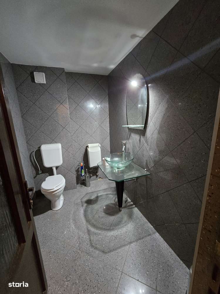 Cenad-Casa/Spatii Birouri- 150mp-teren 1065mp-8