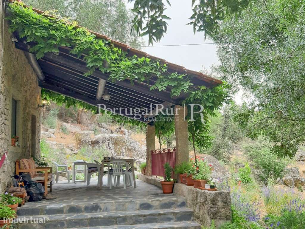 Quinta Rural 8.000 m2 - 2 Casas Habitáveis - confina com Ribeira-5