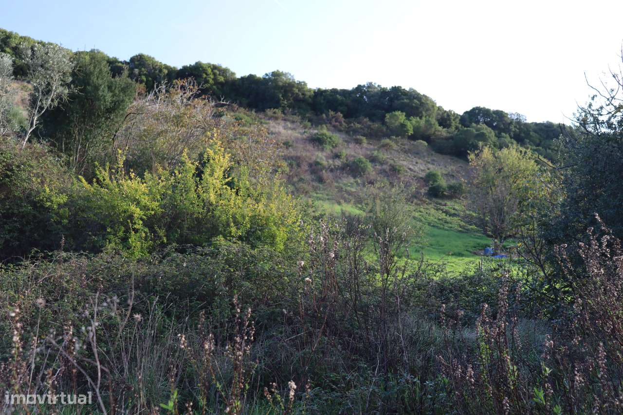 Terreno urbano com casa em ruína na Bemposta, Bucelas-18