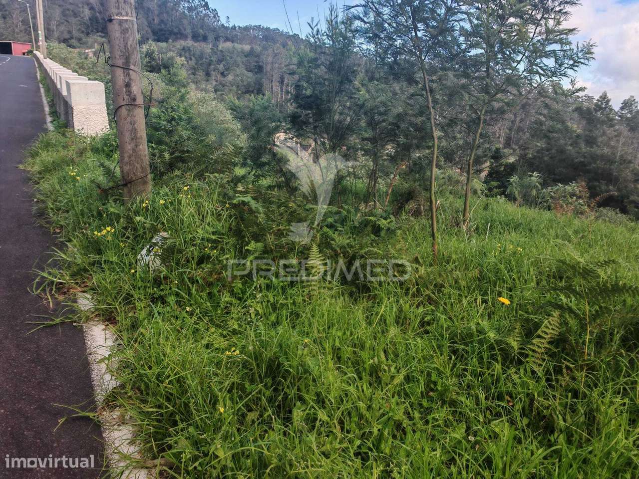 Terreno com 5.970 m² com Potencial Construtivo | Ribeira de Machico - Grande imagem: 5/21