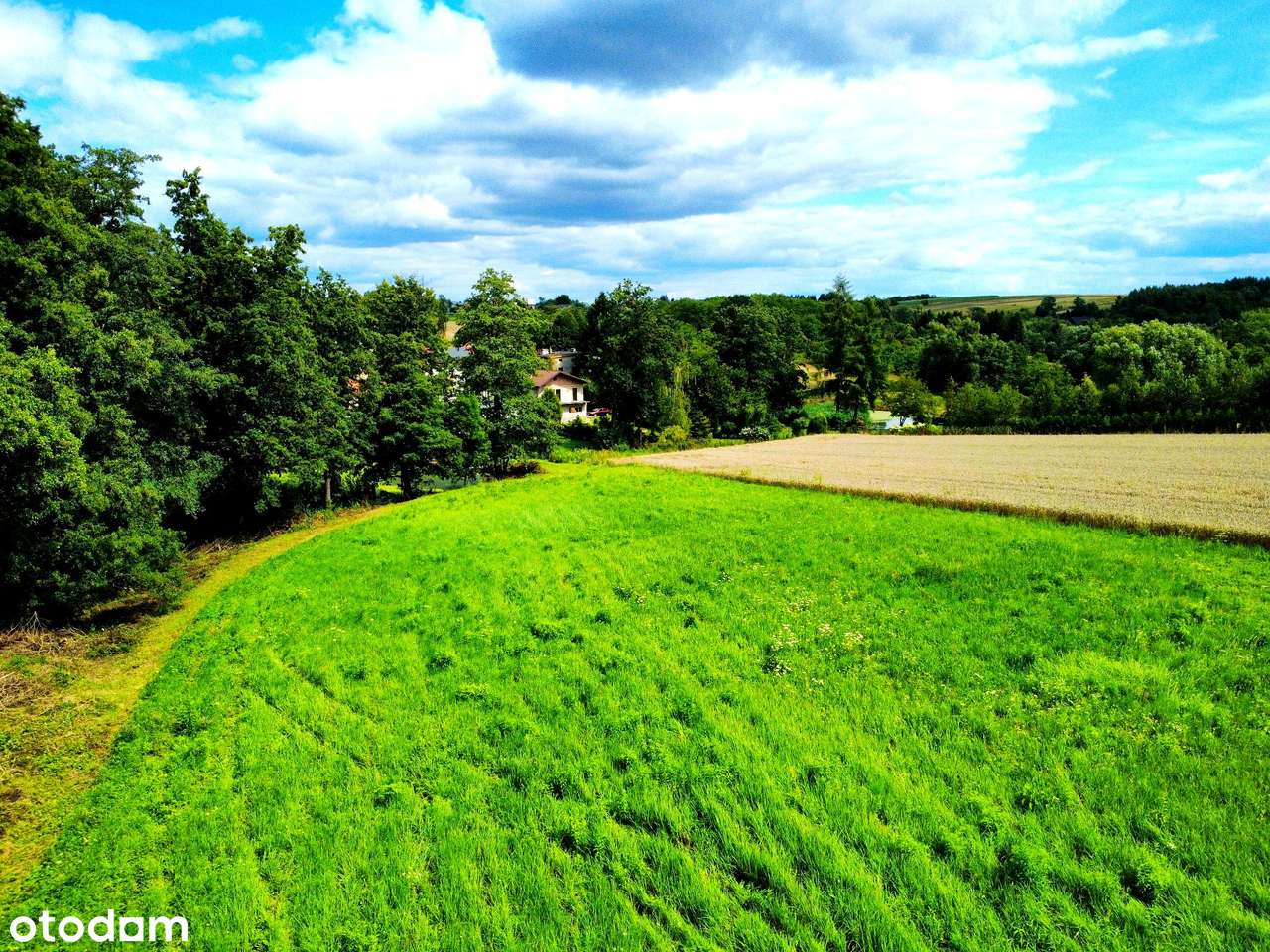 Wyjątkowa działka 81 ar | Przybysławice | staw, zieleń, media, MPZP-14