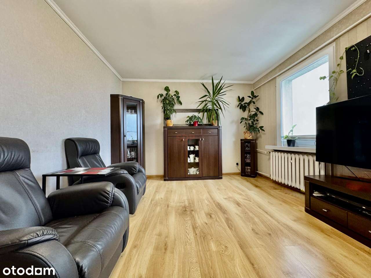 3 pokojowe mieszkanie w enklawie zielni|Super oferta ! - Pełny obrazek: 5/20