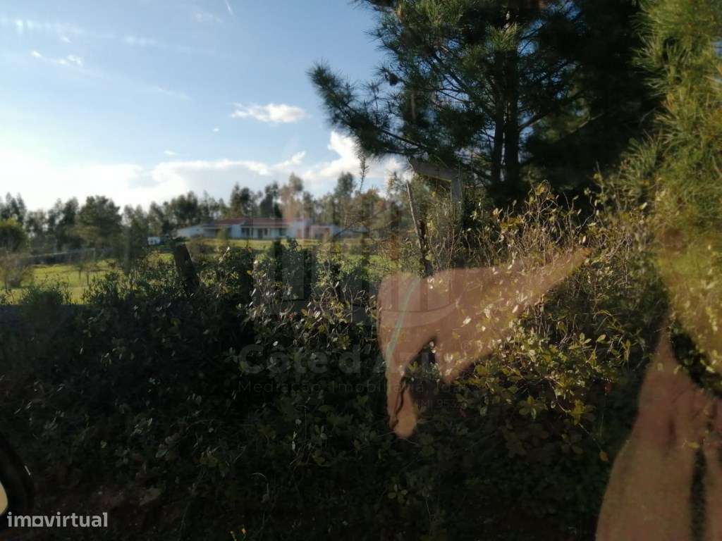 Terreno Rustico com 5.000m² - Grande imagem: 2/6