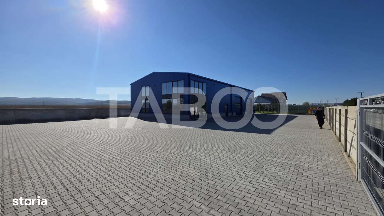 Hala industriala noua diverse destinatii de inchiriat in Sebes - Imagine principală: 3/8