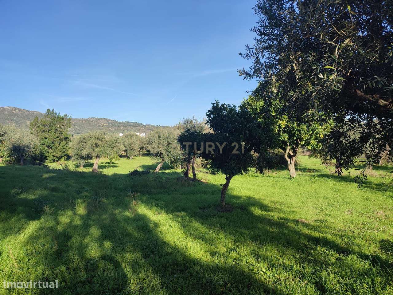 QUINTINHA no Louriçal do Campo, Castelo Branco - Grande imagem: 4/32