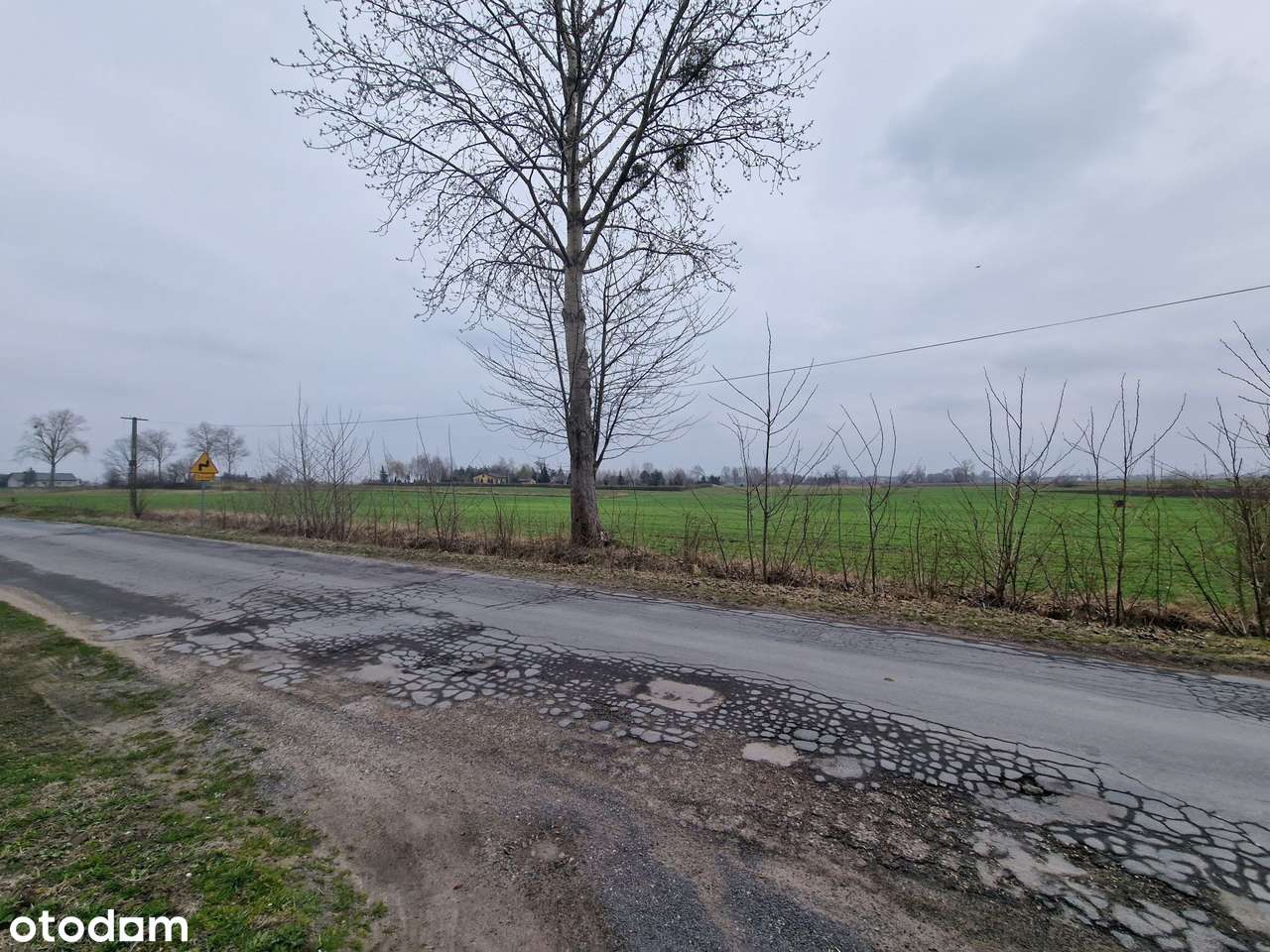 Syndyk sprzeda udziały w nieruchomościach w Skrzypkowie - Pełny obrazek: 4/5