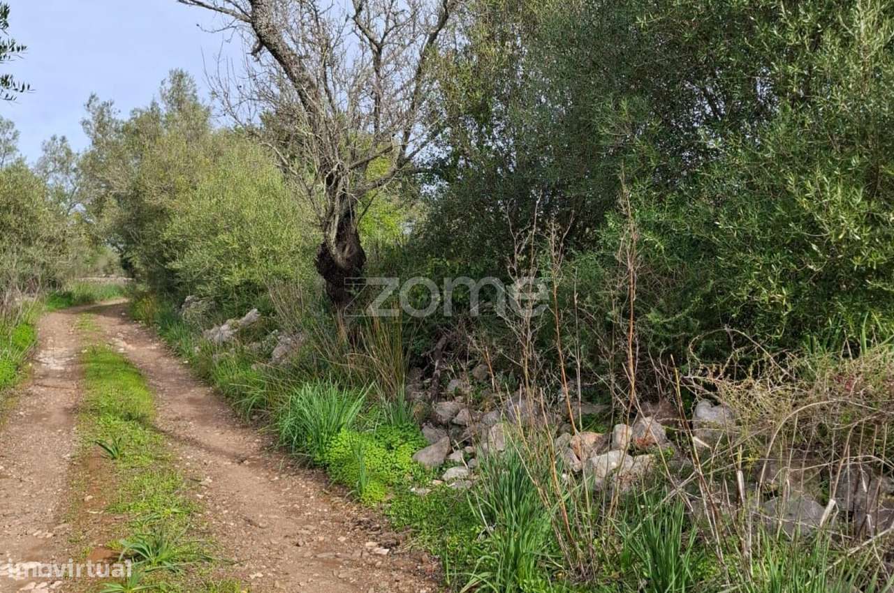 Terreno Rústico com 1.600m2 em Poço da Nora, Messines - Grande imagem: 3/16