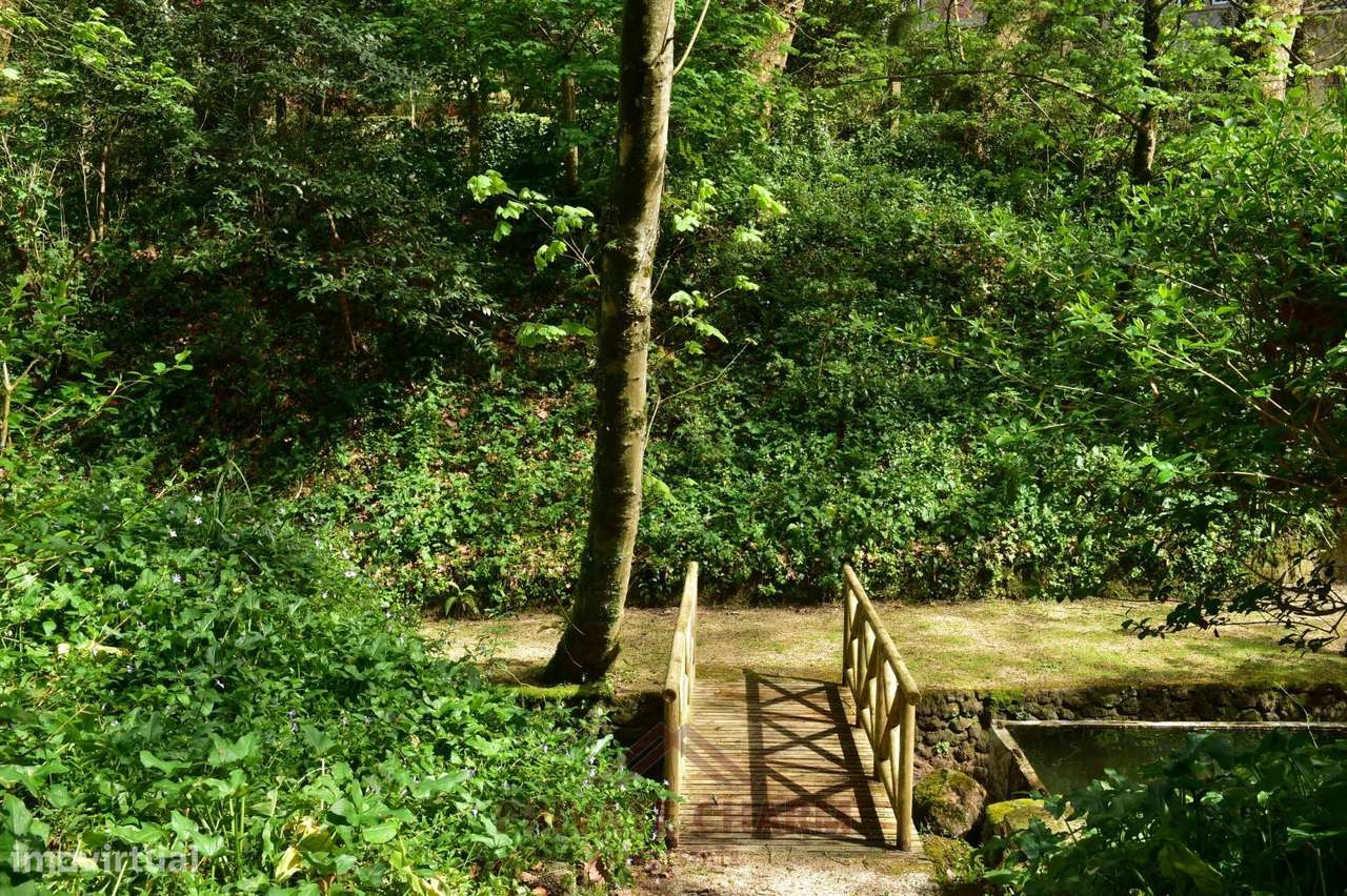 Quinta com área total de terreno 7.650m2 - Grande imagem: 3/46