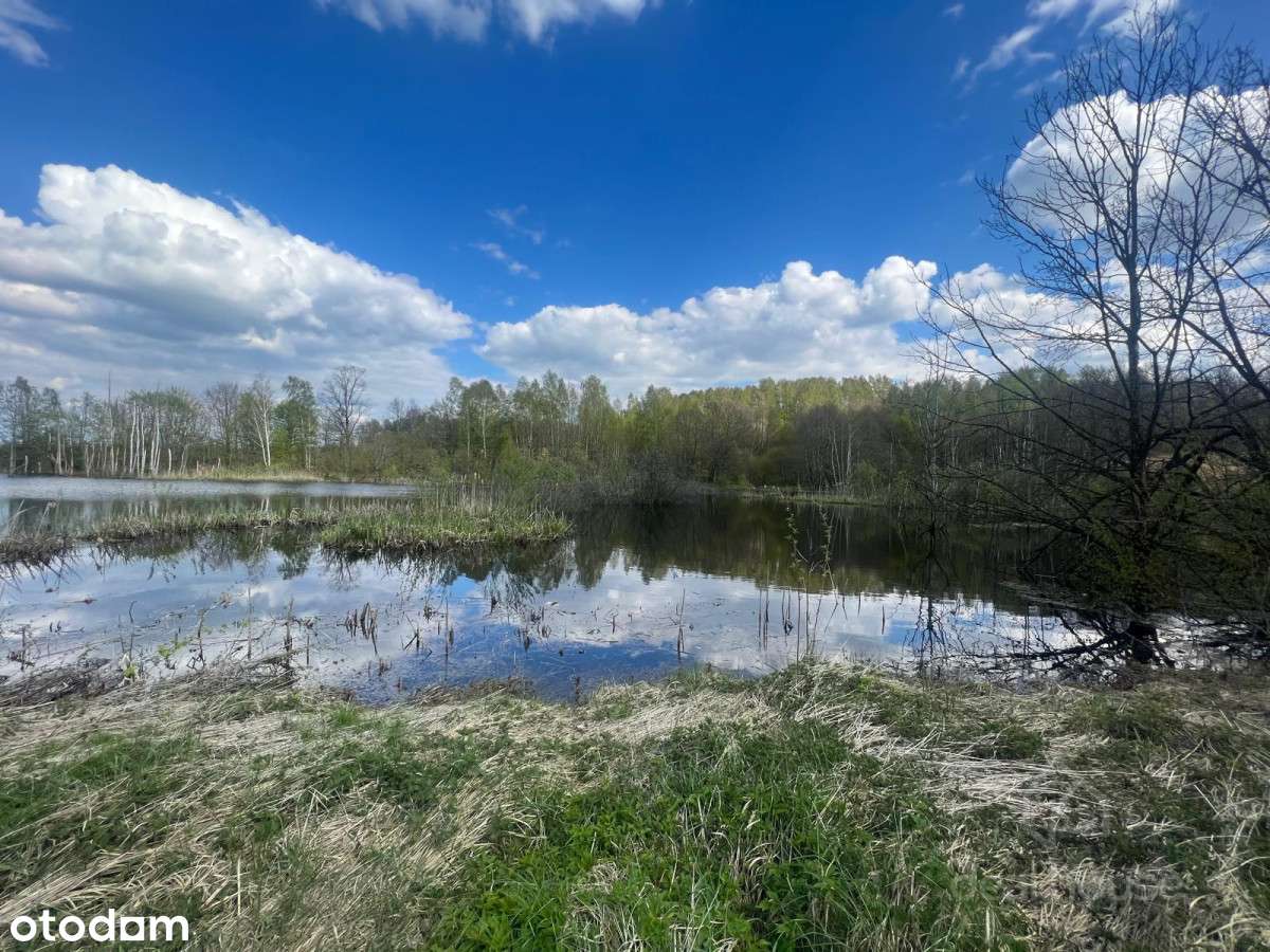 Piękne tereny, duży potencjał, Siedlisko:)-11