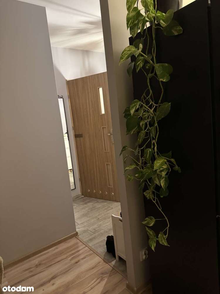 Mieszkanie do wynajęcia ul Jantarowa Lublin - Pełny obrazek: 5/18