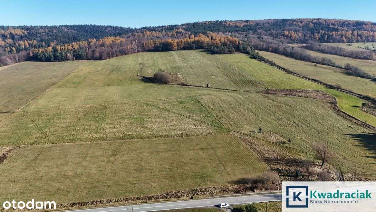 Piękna, budowlana działka w Zdyni!-7