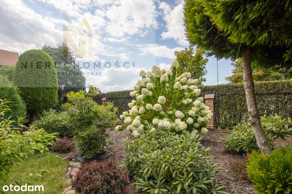 Dom w Lubinie, ul. Ptasia-8