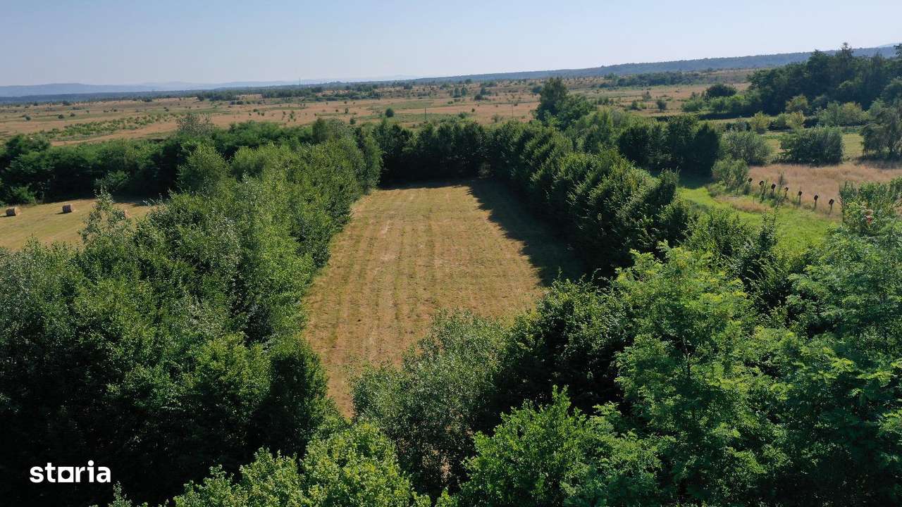 Teren de vânzare pe Valea Avrigului–locație superbă - Imagine principală: 4/5