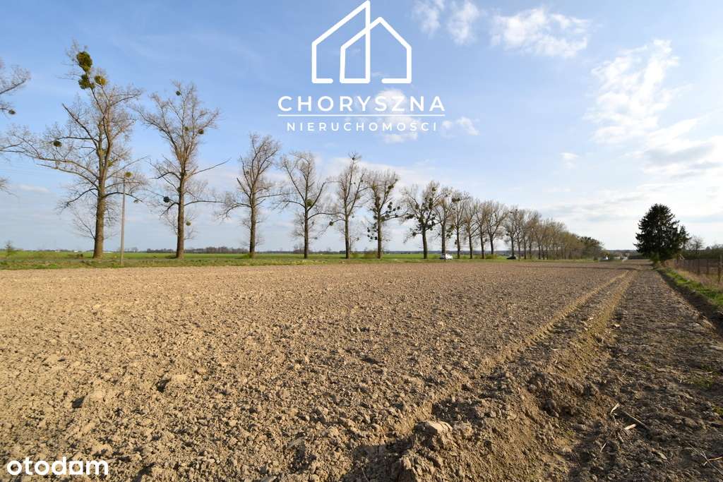 Działka budowlana w Bierutowie -możliwość podziału-12