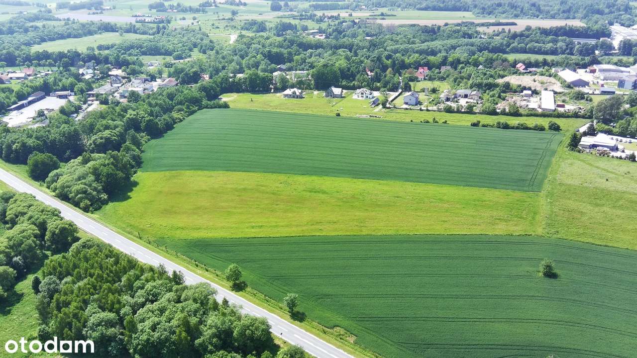 Na Sprzedaż Grunt Pod Produkcję i Usługi przy DK 33-17