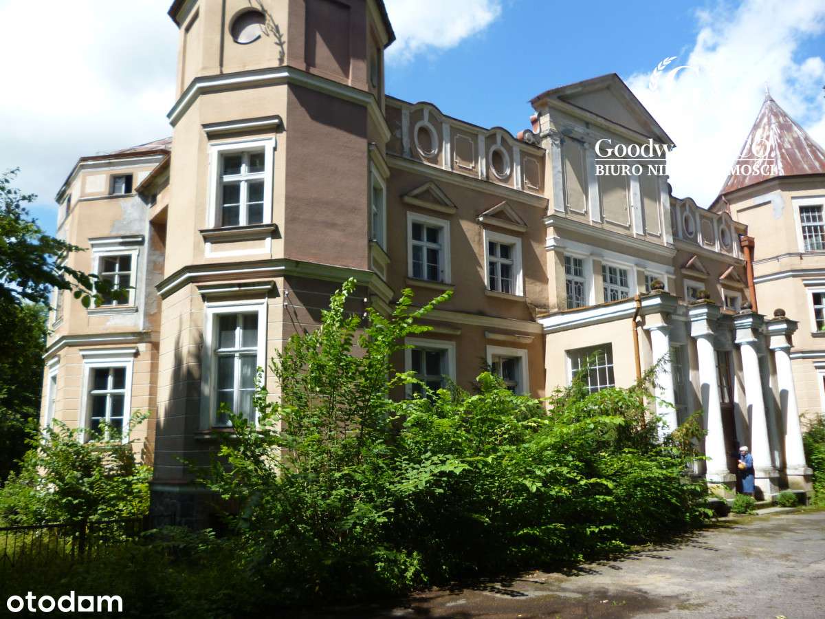 Pałac z parkiem krajobrazowym - Pełny obrazek: 4/13