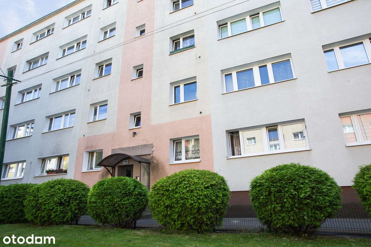 Mieszkanie blisko Lasku Marcelińskiego Grunwald-13