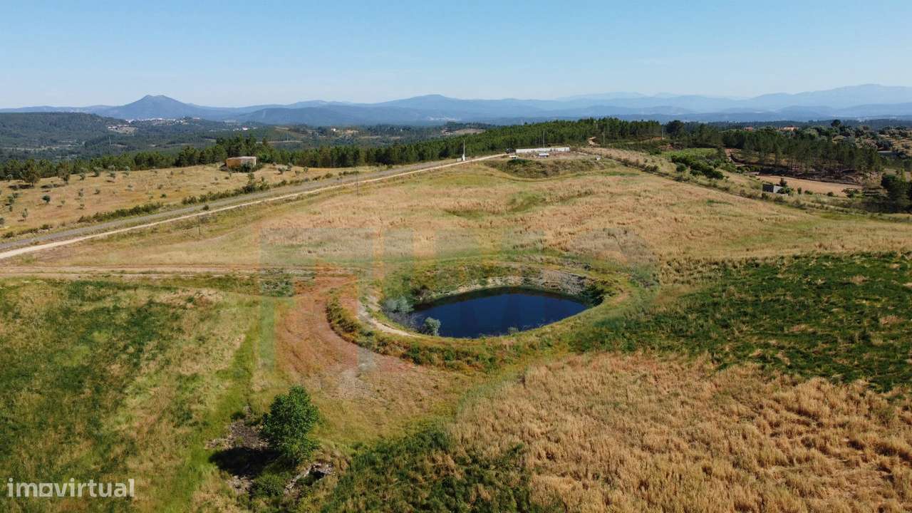 Herdade com 14Ha -Lomba Chã- Sarzedas - 20 min de Castelo Branco - Grande imagem: 4/49
