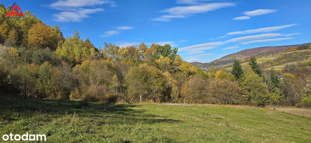 Duża działka budowlana w cichej okolicy | Okazja!-3