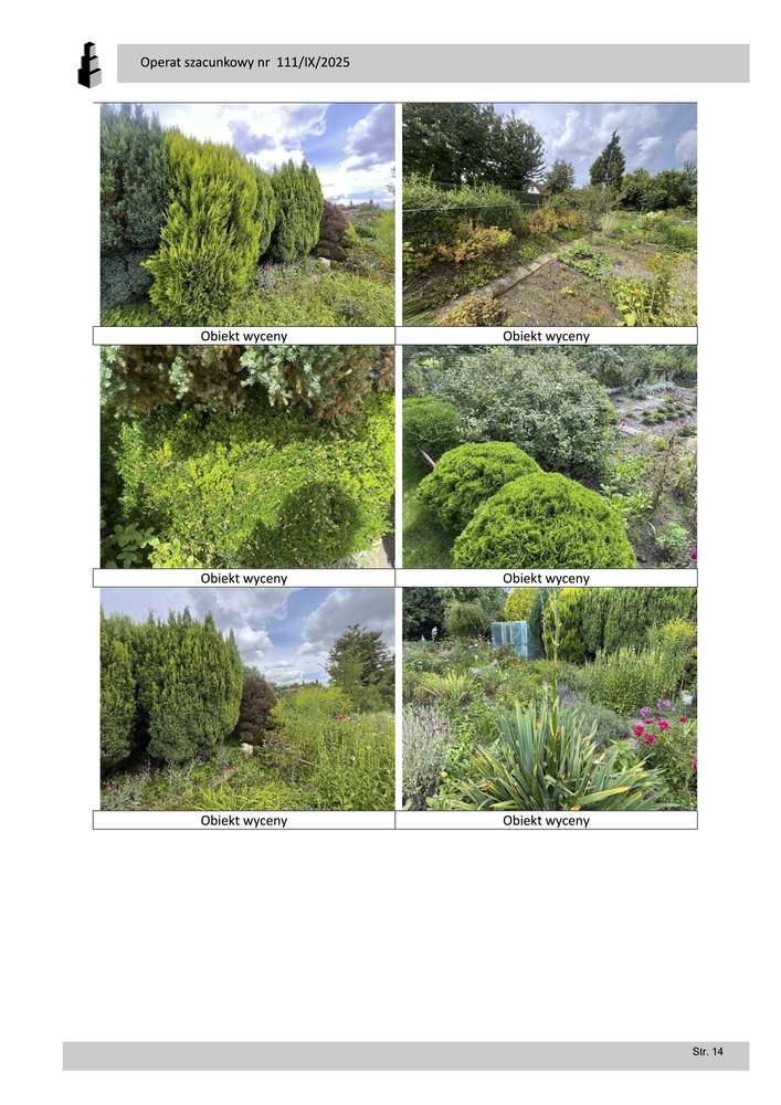 Syndyk sprzeda Działkę ROD Słupsk – nakłady, altana, 384 m² - Pełny obrazek: 4/4