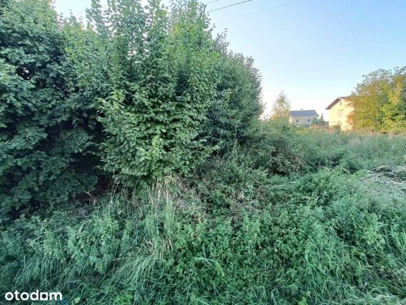 Duża działka budowlana z sadem owocowym - Pełny obrazek: 4/7