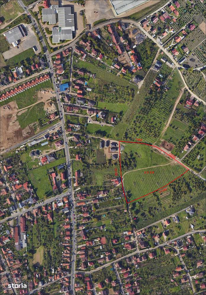 25.000 Mp. - Teren intravilan - Cartierul Oncea - IMOBIHOR - Imagine principală: 2/3